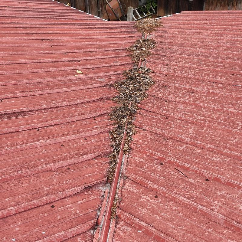 Metal roof valley with debris buildup and aged panels