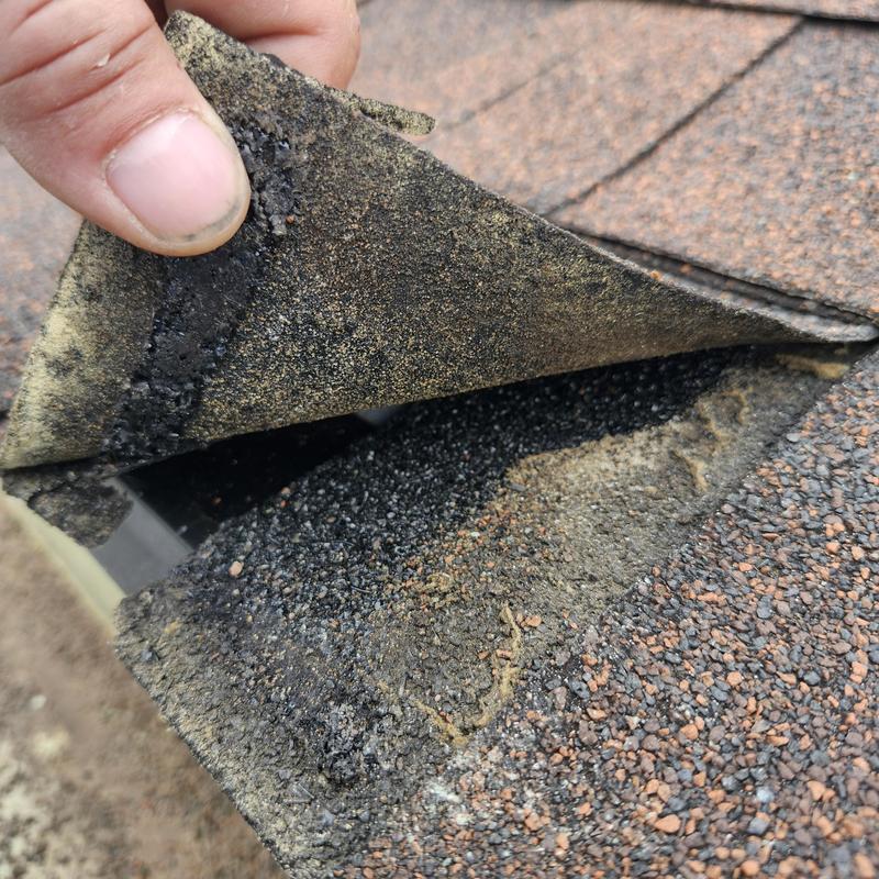 Asphalt shingle roof with lifted damaged shingle