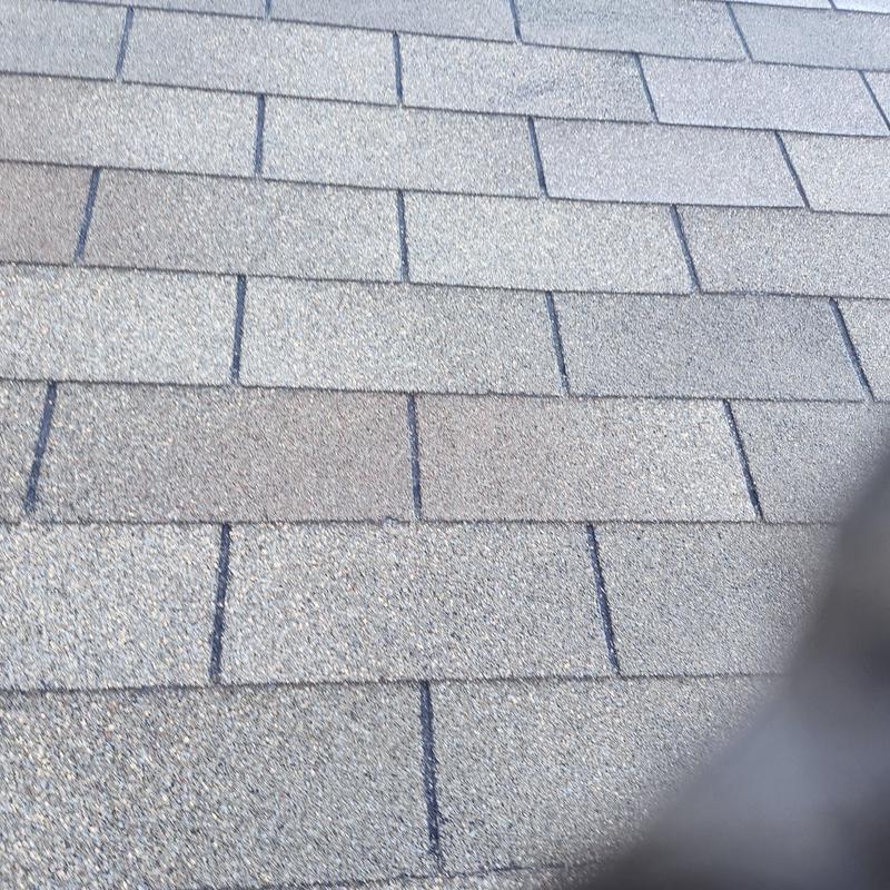 Asphalt roof shingles with minor wear and discoloration