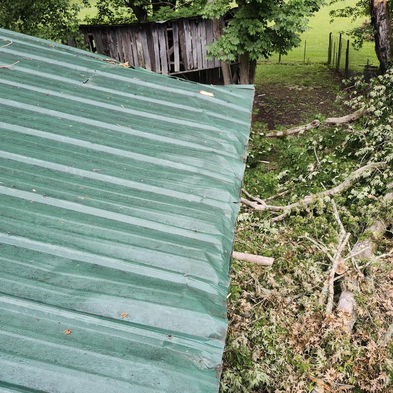 Metal roof dented by fallen tree limb