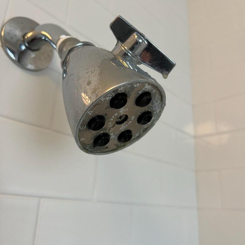 Showerhead with mineral buildup on chrome finish