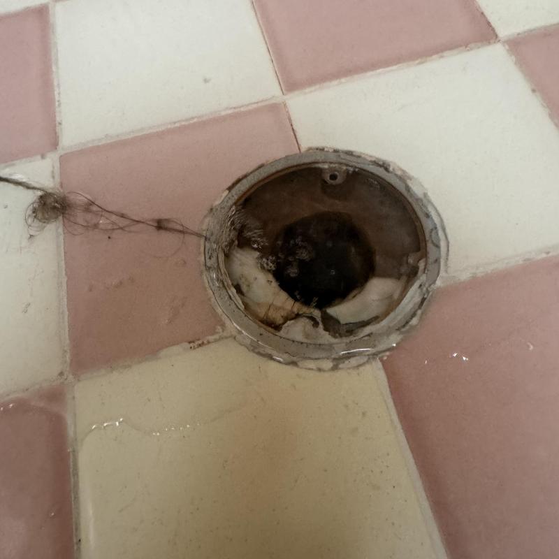 Shower drain clog with hair removal in tiled floor