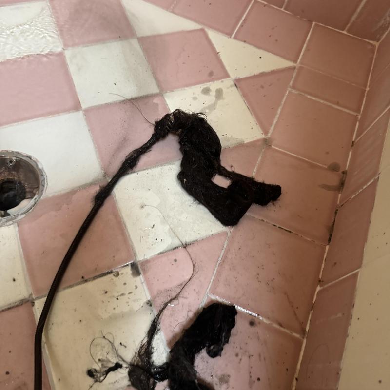 Shower drain clogged with hair debris on tiled floor