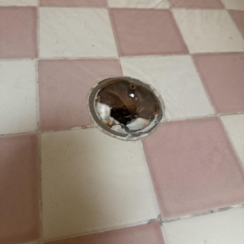 Shower drain without cover on pink and white tile floor