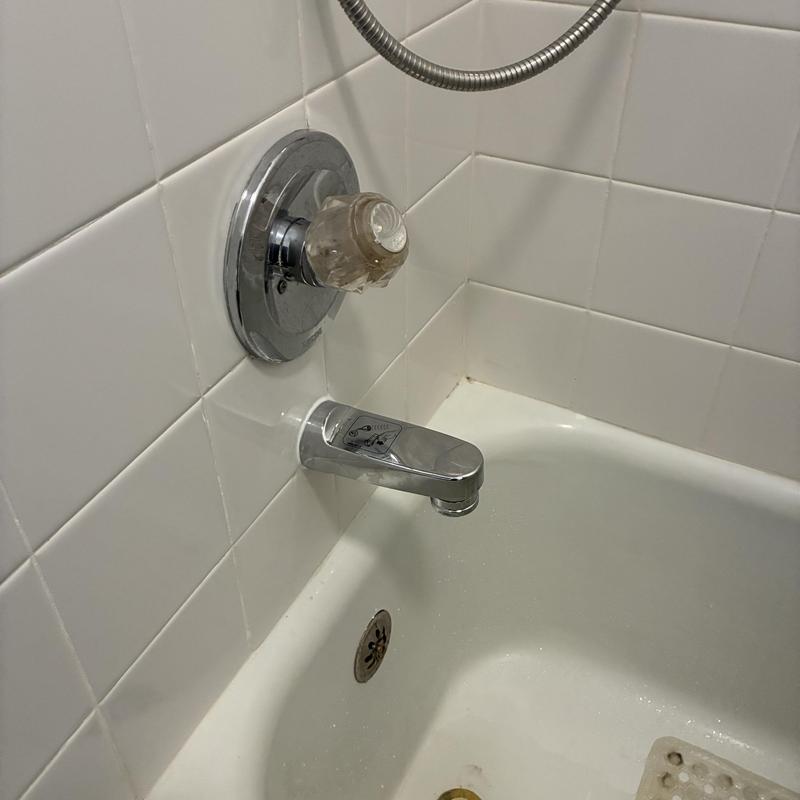 Tub spout diverter and faucet in white tiled bathtub