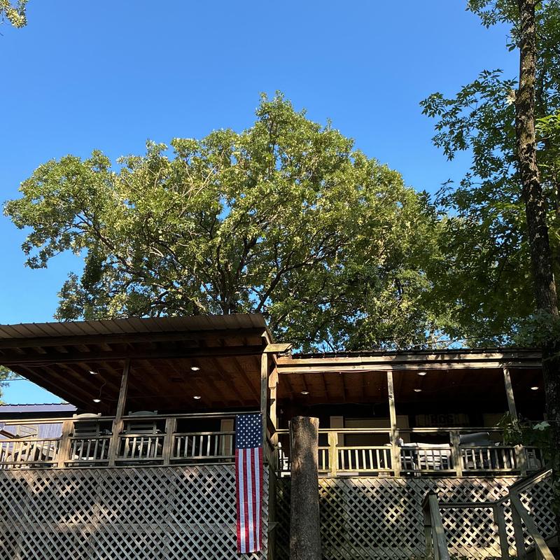 Large tree beside wooden home deck with American flag Large tree beside wooden home deck with American flag