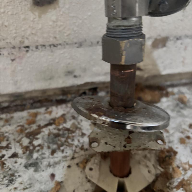 Copper water shutoff valve installation with escutcheon plate Copper water shutoff valve installation with escutcheon plate