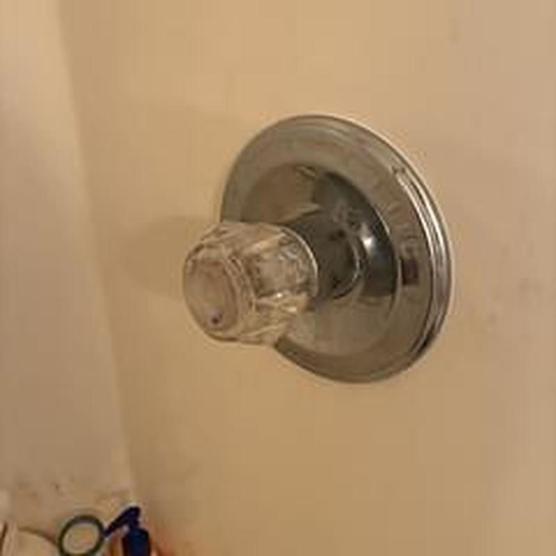 Shower faucet handle and trim in master bath