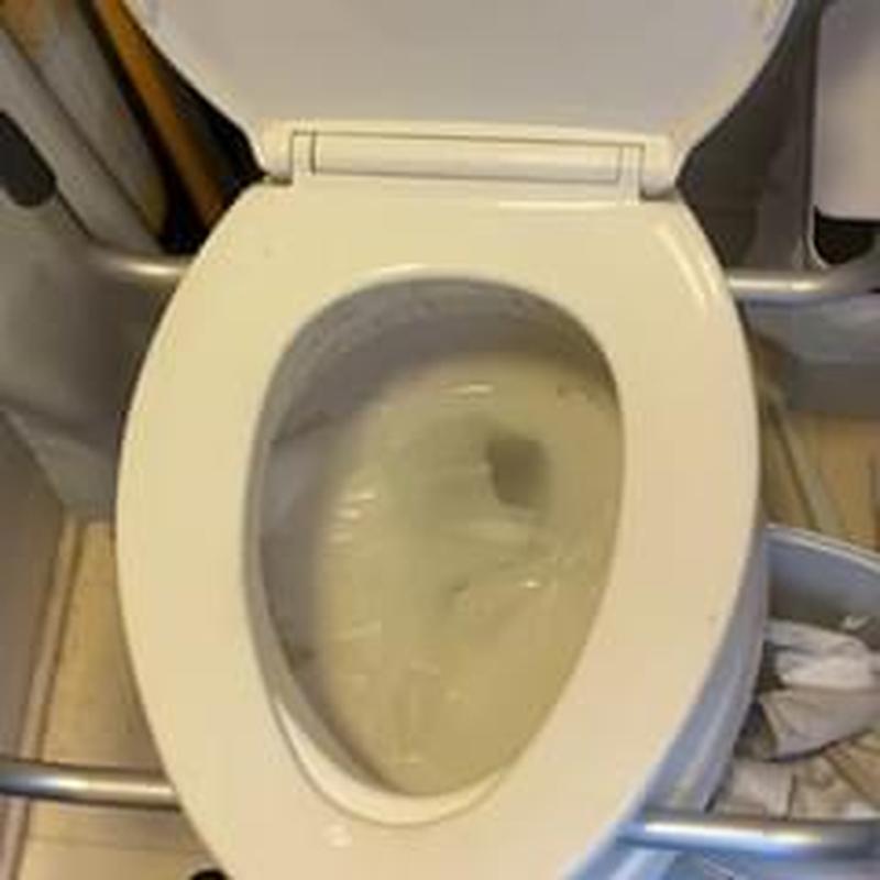 Toilet bowl drainage testing and inspection