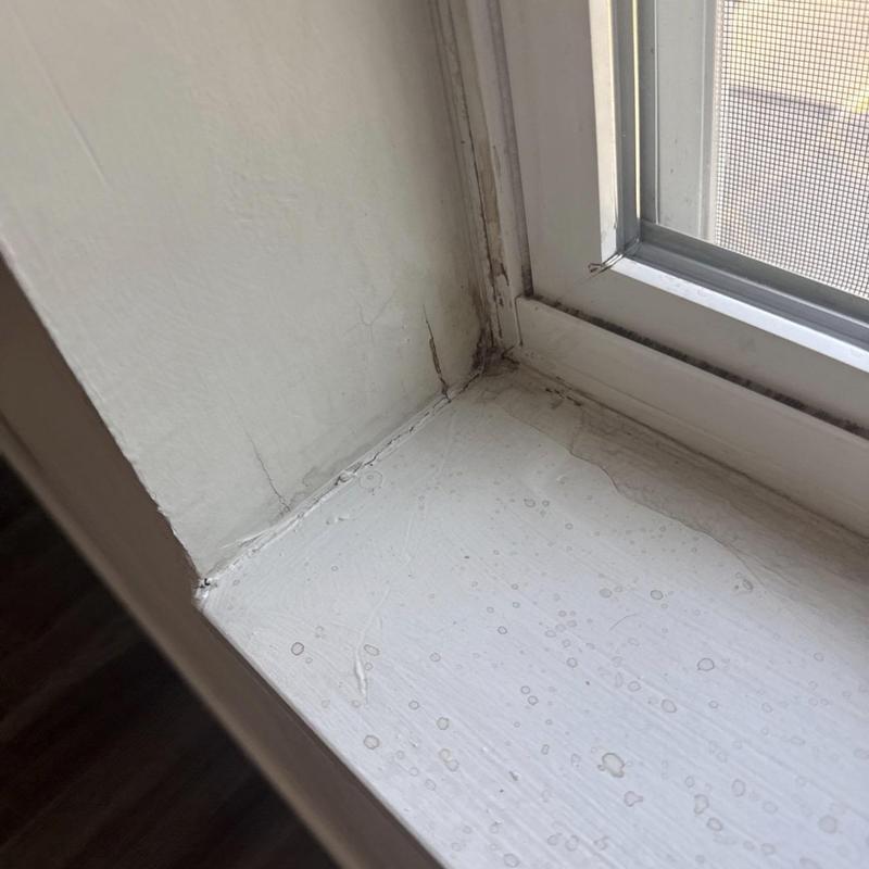 Window frame with water damage and mold buildup