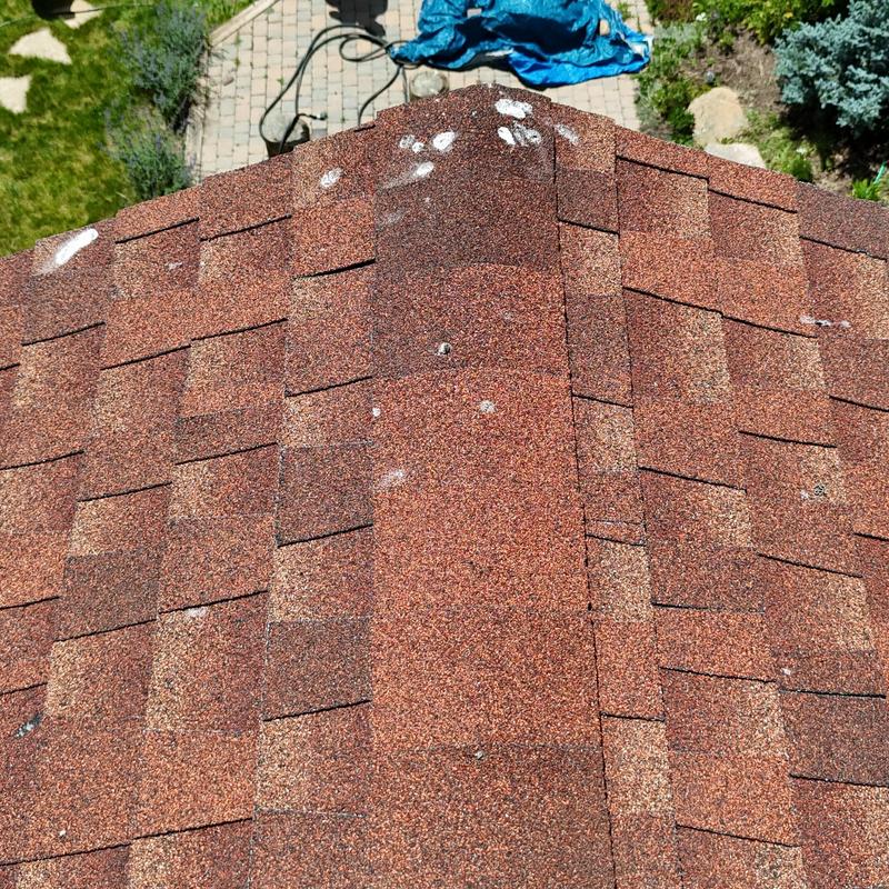 Asphalt shingle roof ridge with laminated shingles