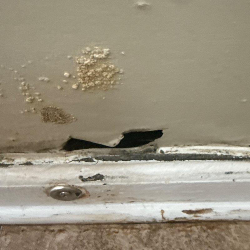 Baseboard with wall water damage and paint bubbles