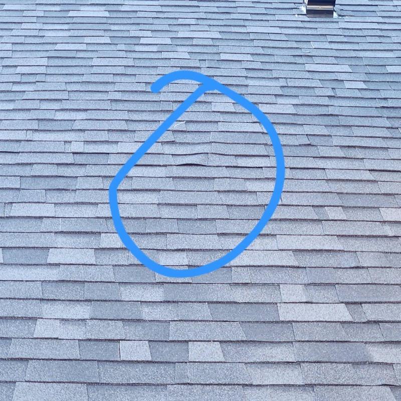 Roof shingles with hail damage marked in blue circle