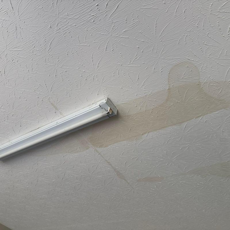 Ceiling water stains near fluorescent fixture