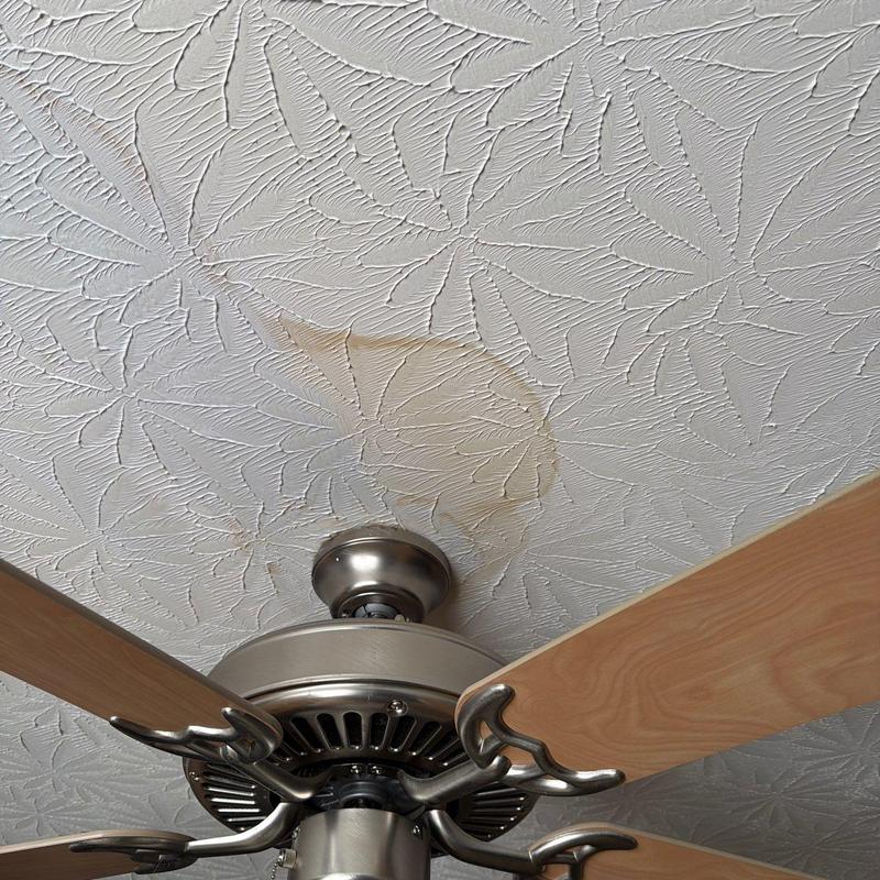 Ceiling water stain above ceiling fan blades