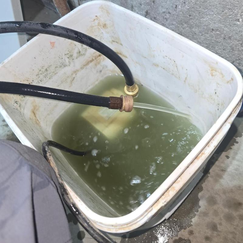 Tankless water heater flushing with hoses in bucket