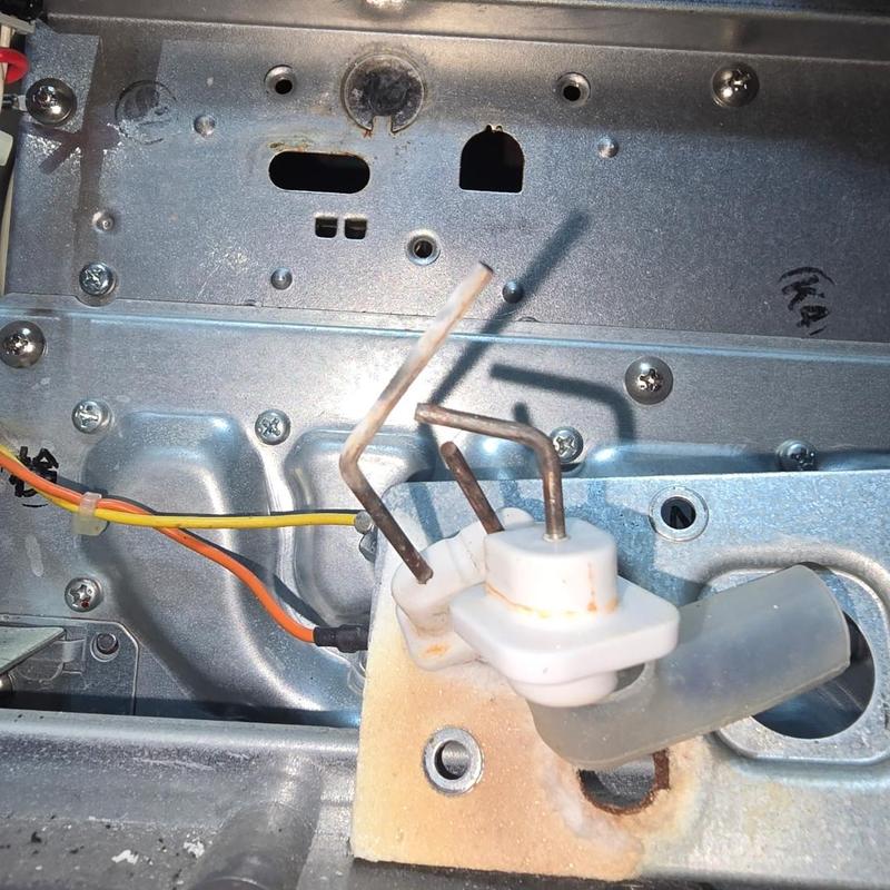 Tankless water heater flame sensor with wiring