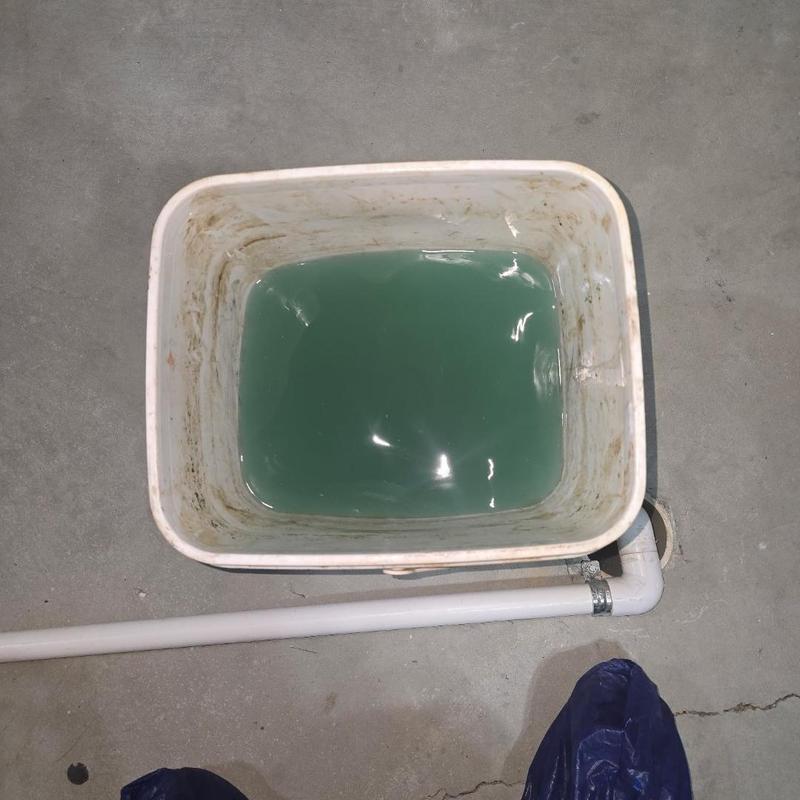 Tankless water heater descaling residue in bucket