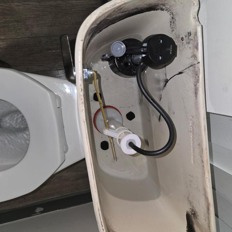 Toilet tank valve and flapper replacement in Waterford Twp