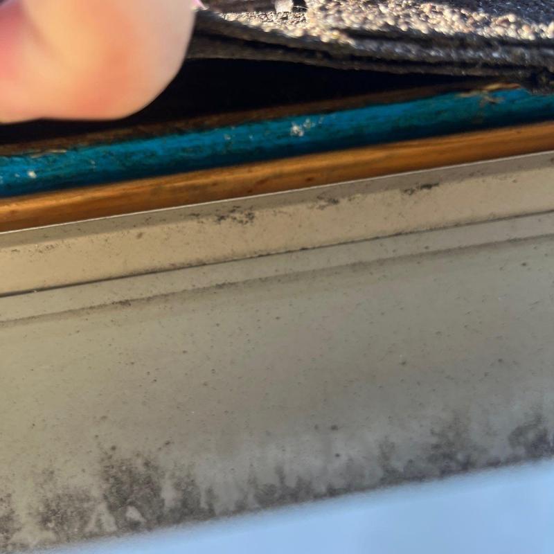 Roof edge with mold and damaged flashing components.