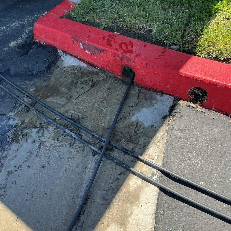 Area drain line clearing and root removal near curb