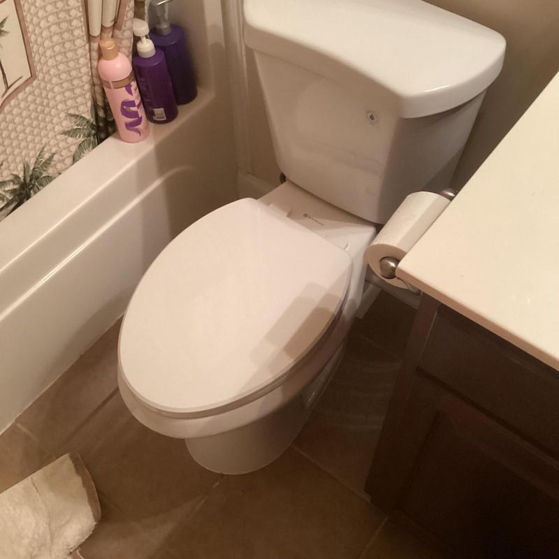 Toilet with new wax seal and supply line installed Toilet with new wax seal and supply line installed