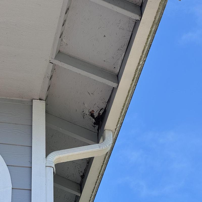 Roof soffit with water damage near gutter downspout