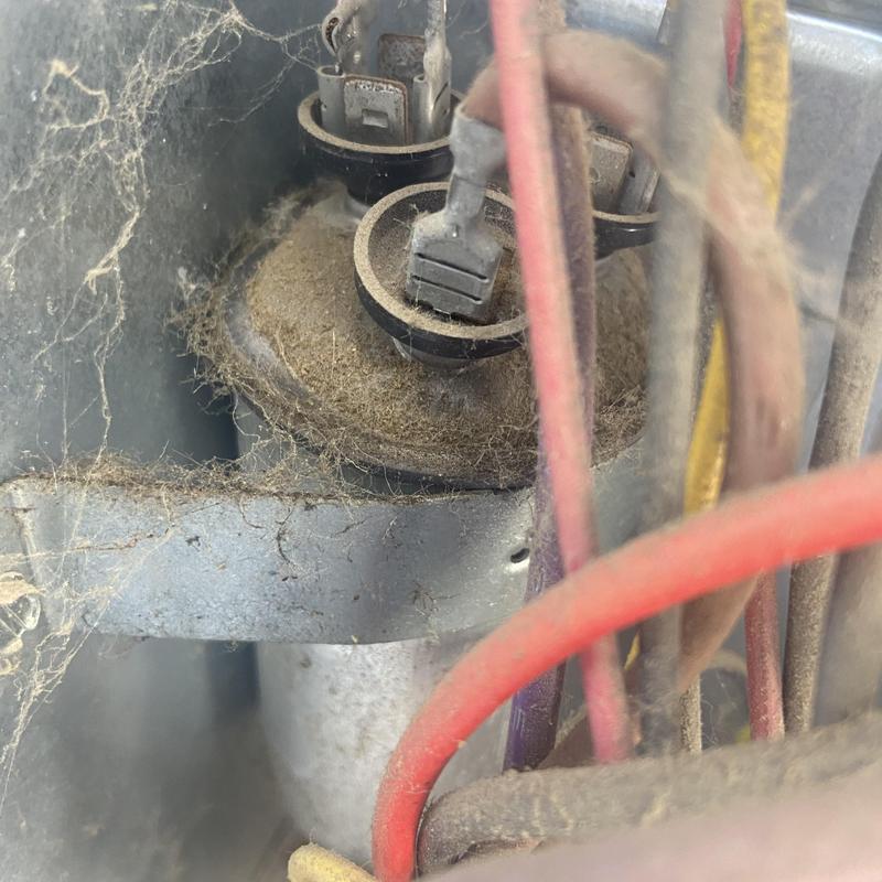 Condenser capacitor with dirty, worn components and cobwebs Condenser capacitor with dirty, worn components and cobwebs