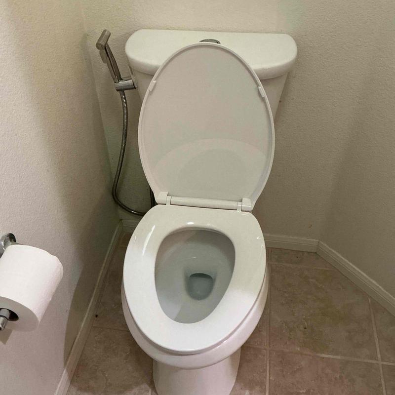 Glacier Bay toilet installed with new wax ring