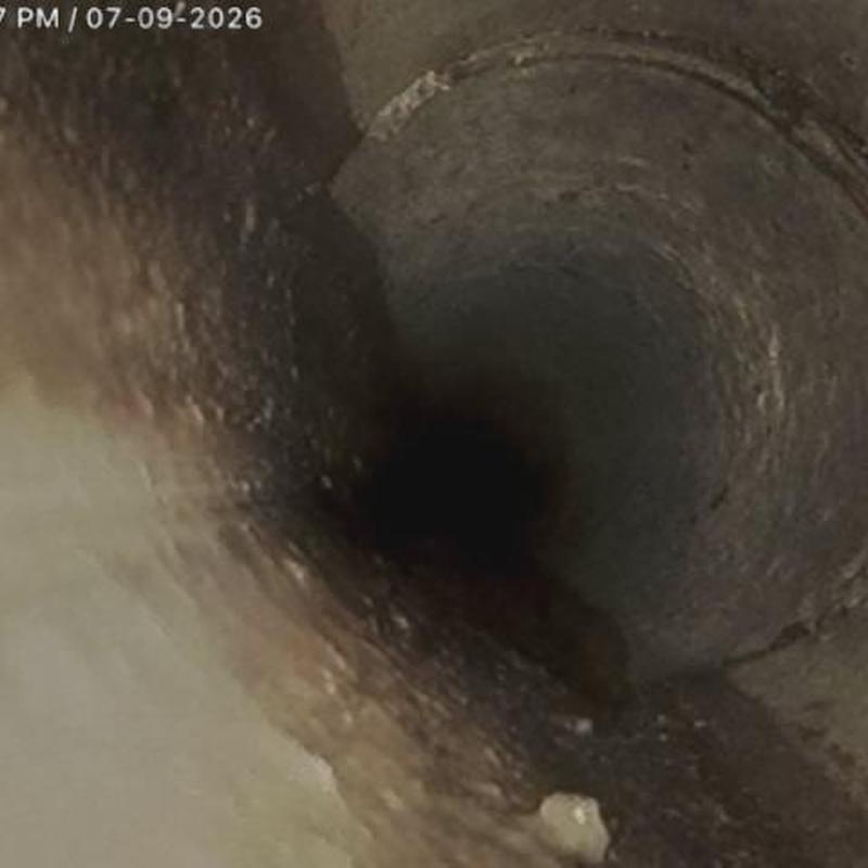 Sewerline interior showing root intrusion damage Sewerline interior showing root intrusion damage