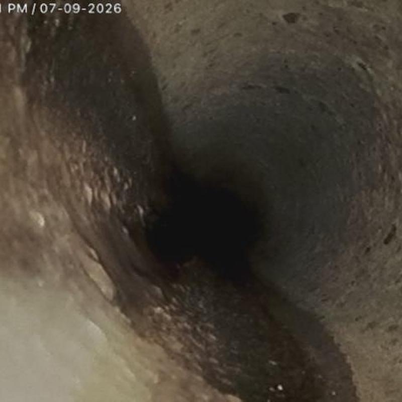 Sewer line interior with root intrusion visible Sewer line interior with root intrusion visible