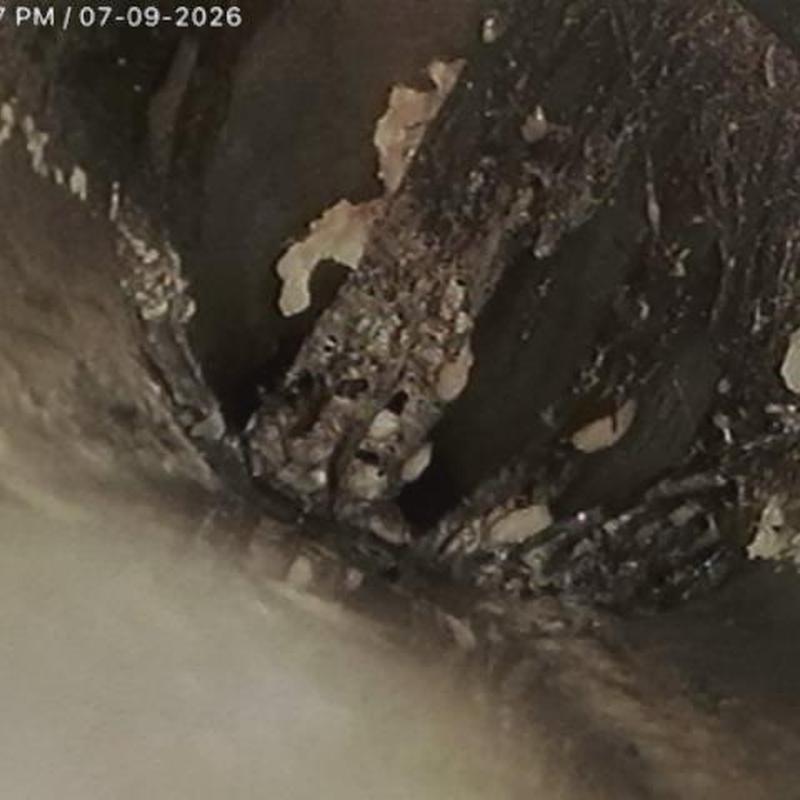 Sewer line roots damage from camera inspection Sewer line roots damage from camera inspection