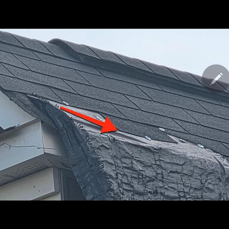 Asphalt shingle roof with lifted underlayment damage