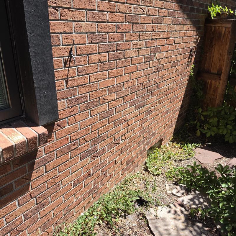 Brick exterior wall with small ground vent and greenery