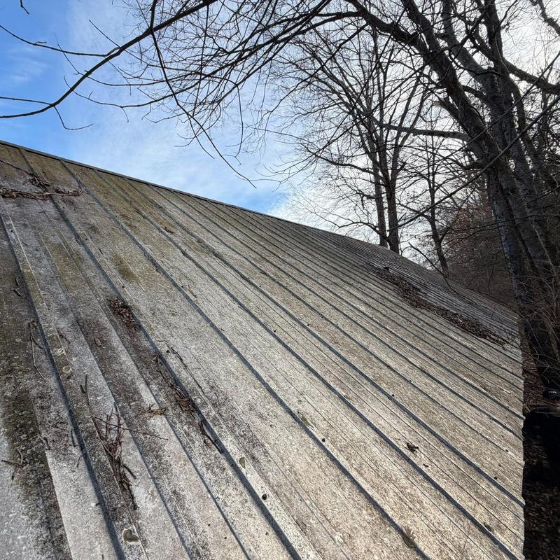 Metal roof panels with debris and weathering damage