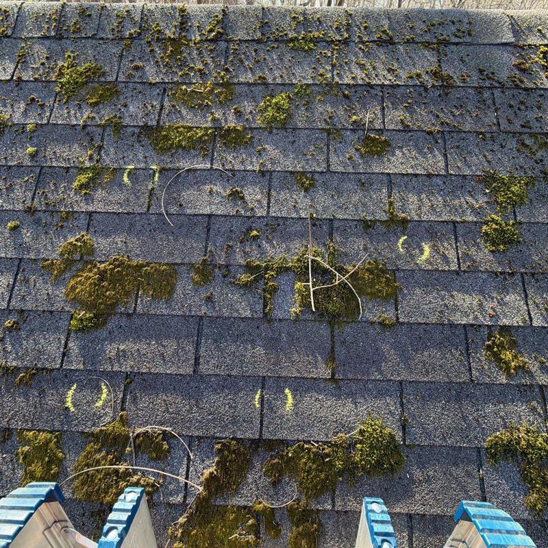 Roof shingles with moss growth and chalk marks