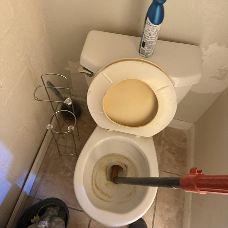 Toilet bowl clog removal with plunger in bathroom