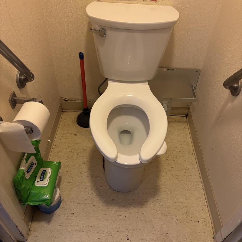 Toilet replacement in small bathroom with safety rails Toilet replacement in small bathroom with safety rails