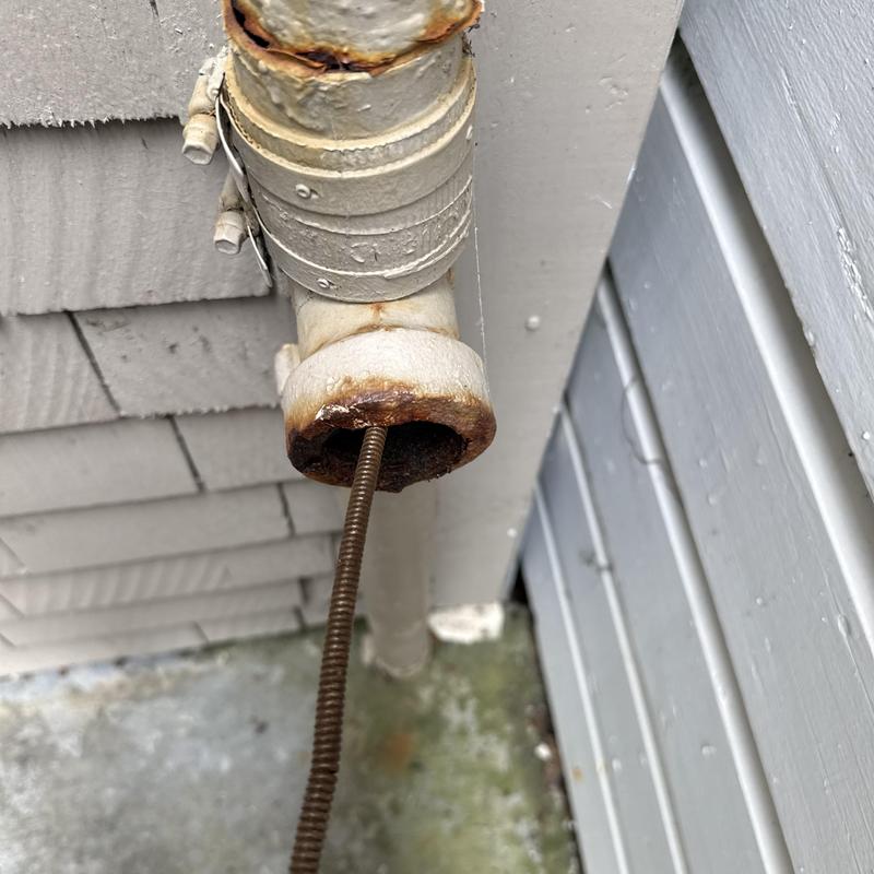 Exterior floor drain with plumbing snake cleaning