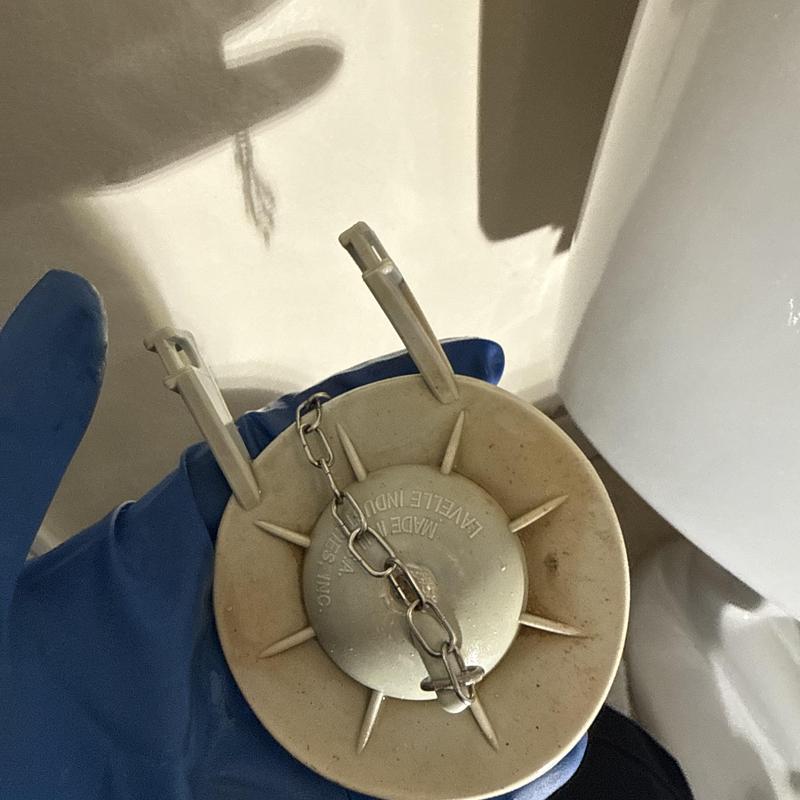 Toilet flapper valve held by gloved hand