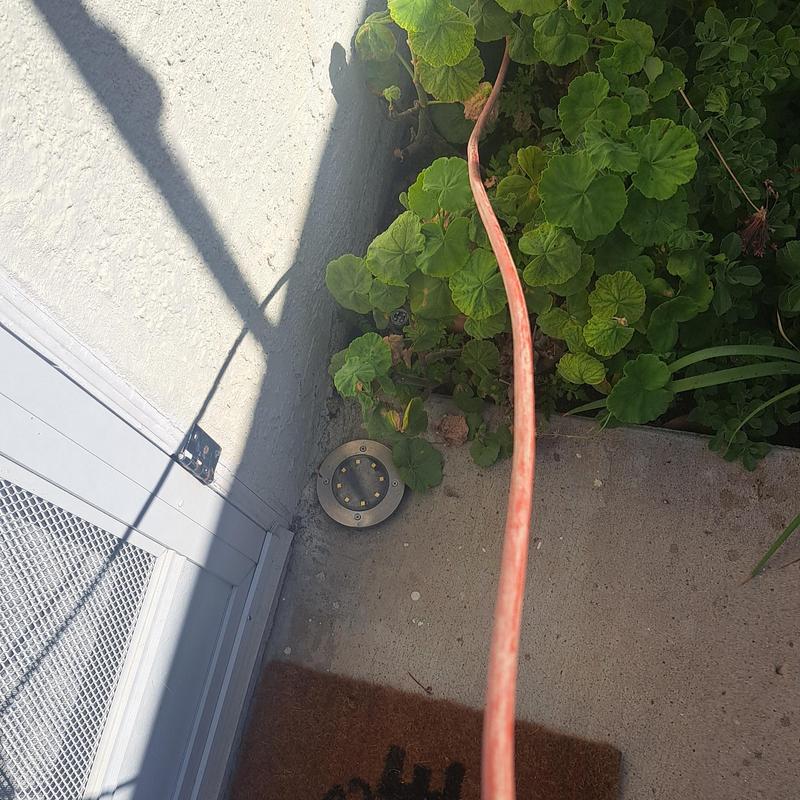 Sewer line mini jetter hose through cleanout access Sewer line mini jetter hose through cleanout access