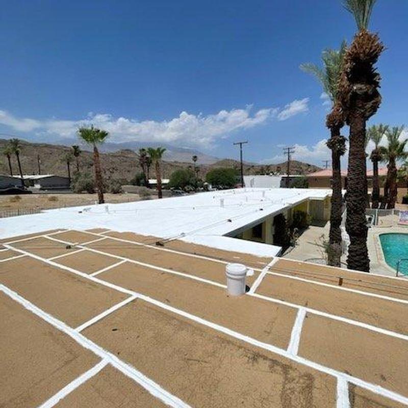Flat roof with sealed joints near palm trees and pool Flat roof with sealed joints near palm trees and pool