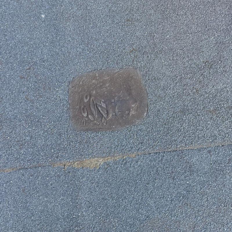 Condominium roofing system hail damage and patch repair