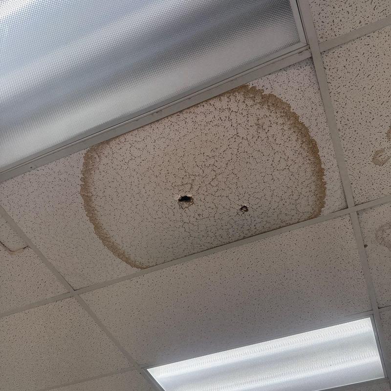 Ceiling tile with water damage and holes