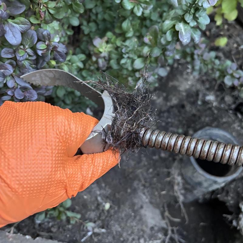 Sewer line cable with root clog and orange glove Sewer line cable with root clog and orange glove