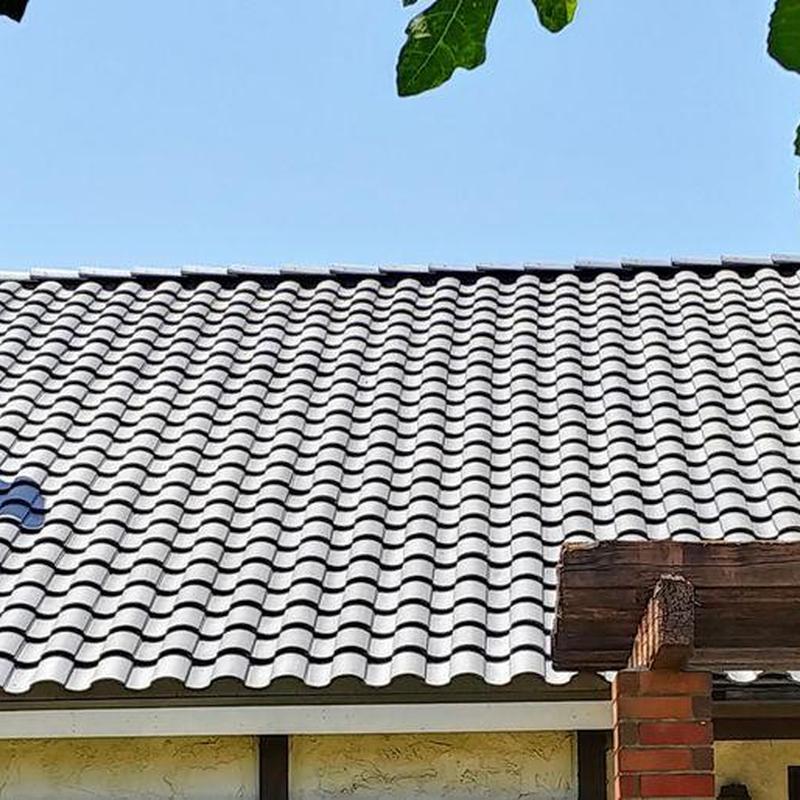 Tile roof with gray curved tiles and clear sky Tile roof with gray curved tiles and clear sky