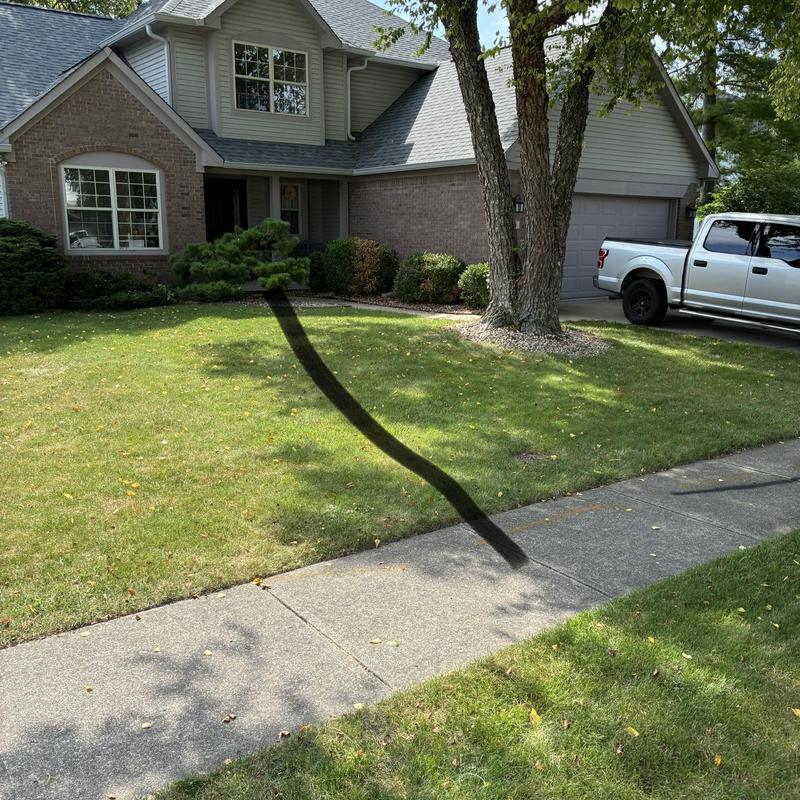 Main sewer line cleaning inspection at residential lawn