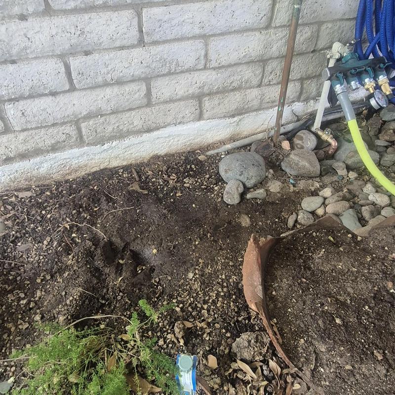 Irrigation valve box and hose connections in soil