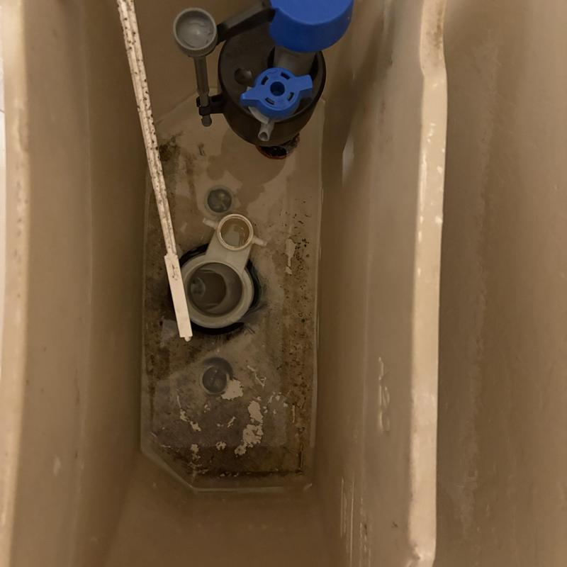 Toilet tank interior with fill valve and flapper assembly