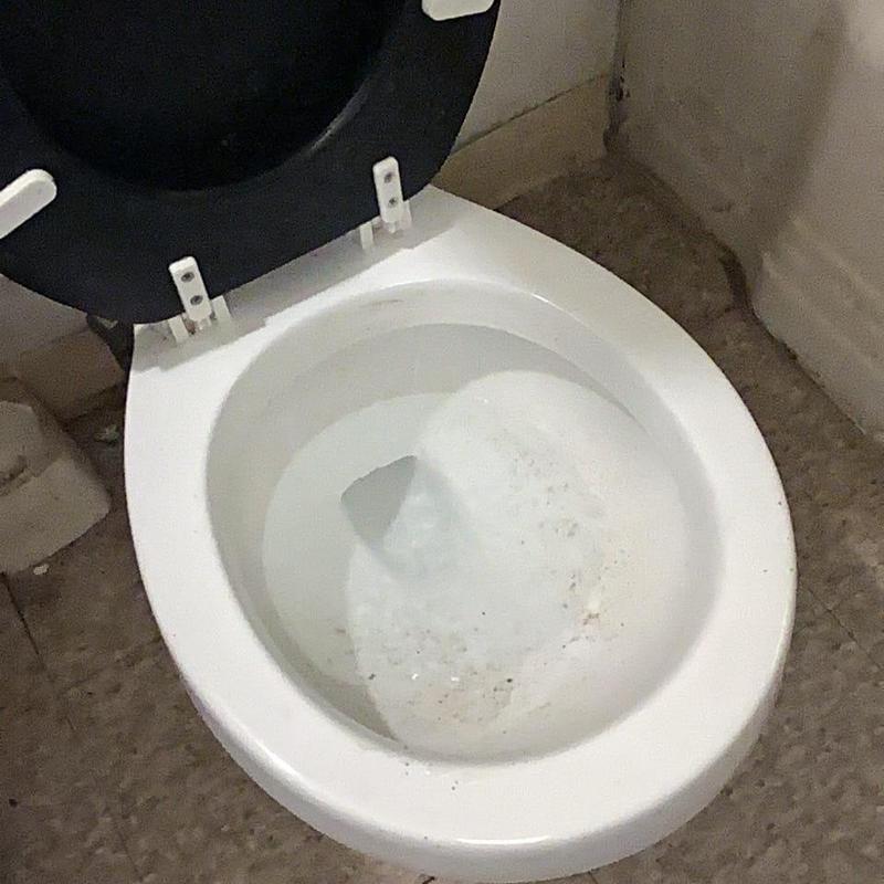 Toilet bowl with black seat removed for main line cabling Toilet bowl with black seat removed for main line cabling